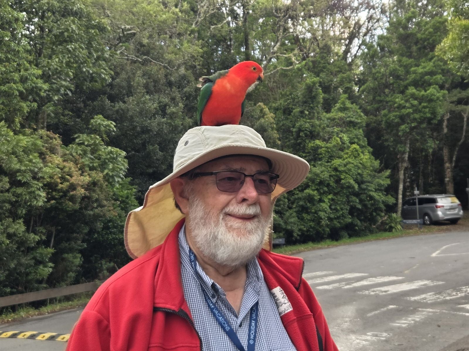 Holiday Vacations guest with Crimson Rosella bird on head, Australia