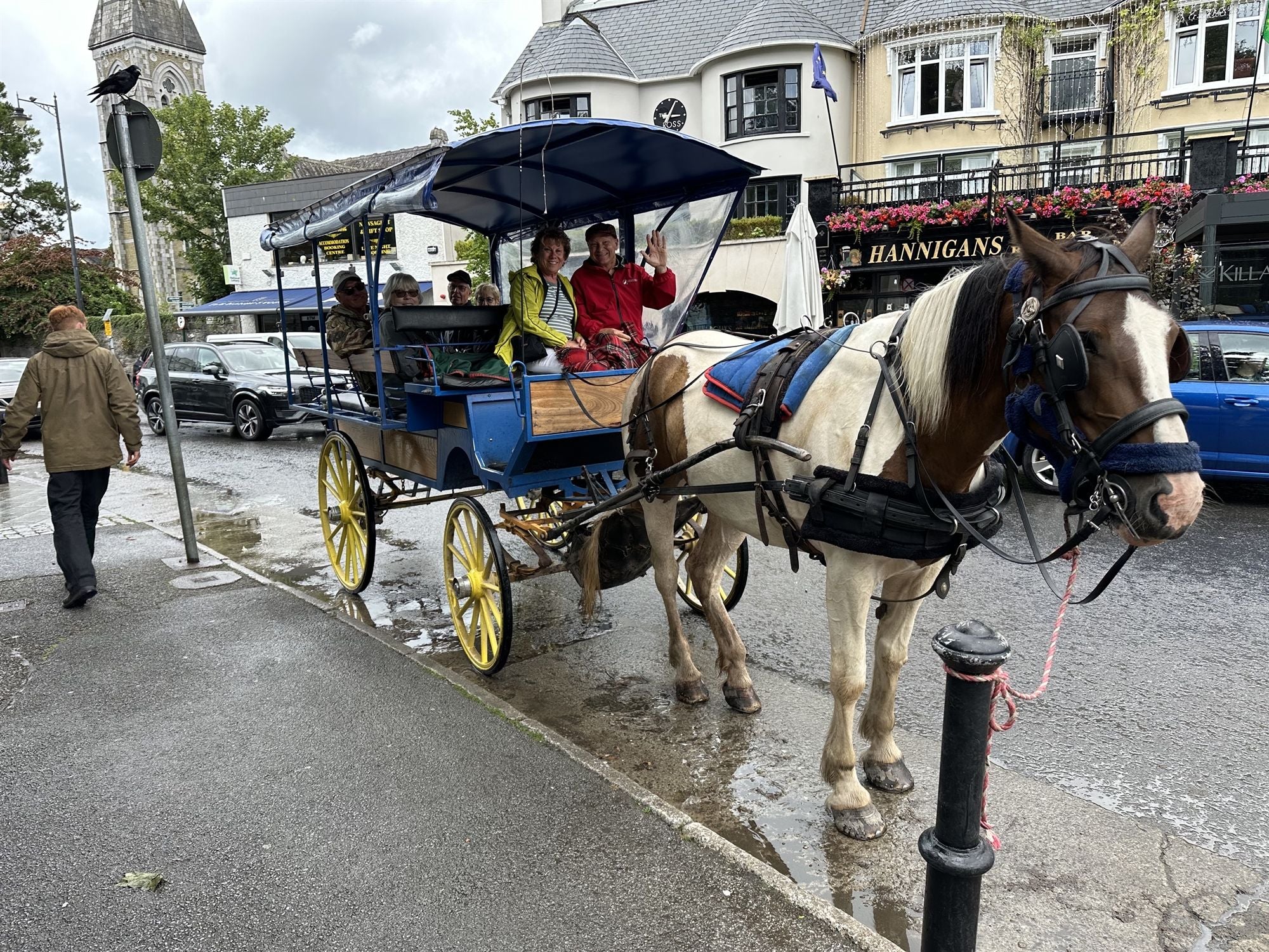 Holiday Vacations guests on a horse-drawn carriage ride, Killarney