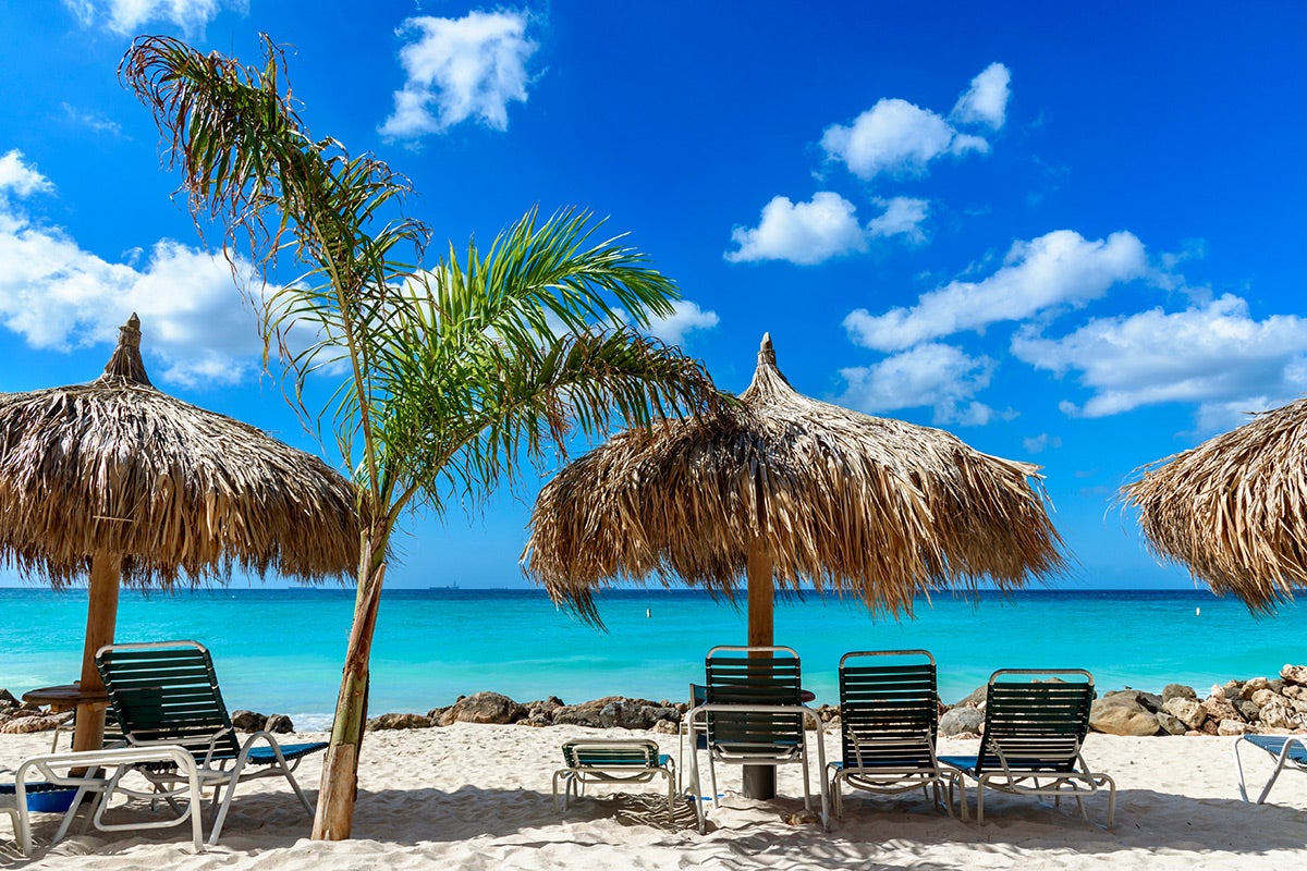 The Caribbean