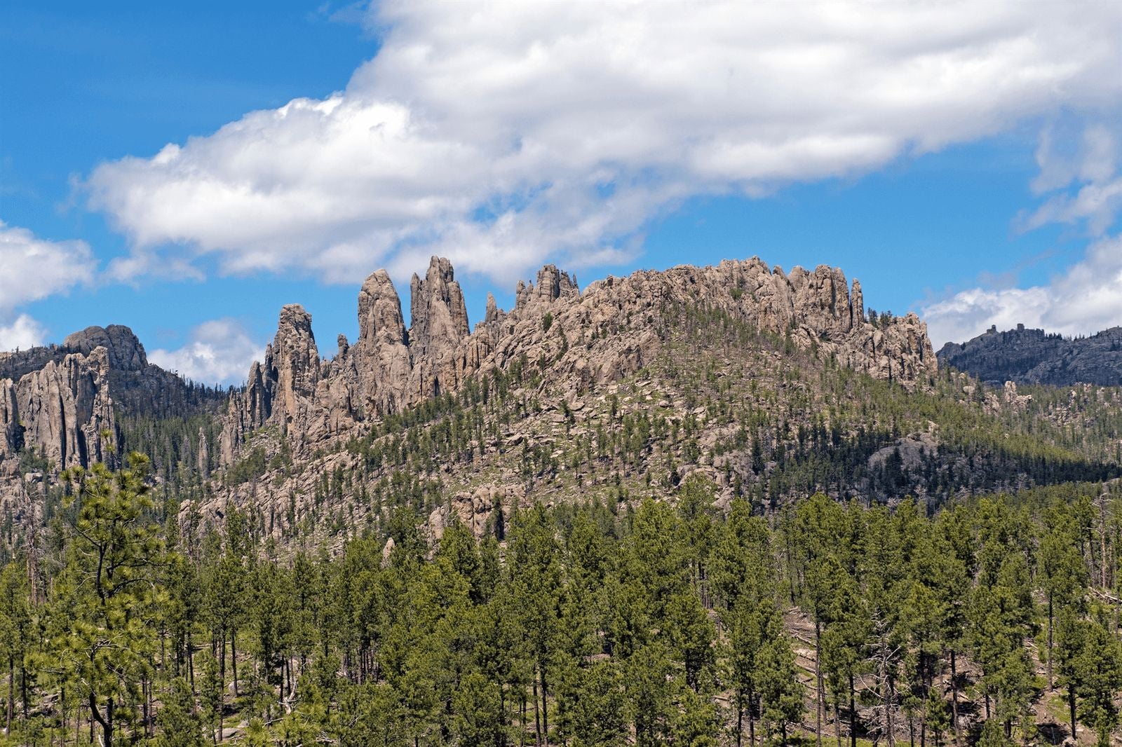 Custer State Park, Black Hills