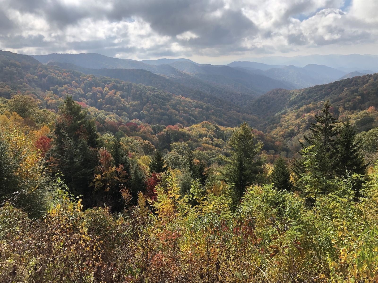 Guest photo of Great Smoky Mountains National Park