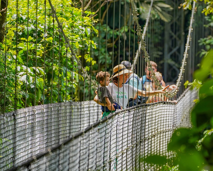 Mistico Park Hanging Bridges Walk