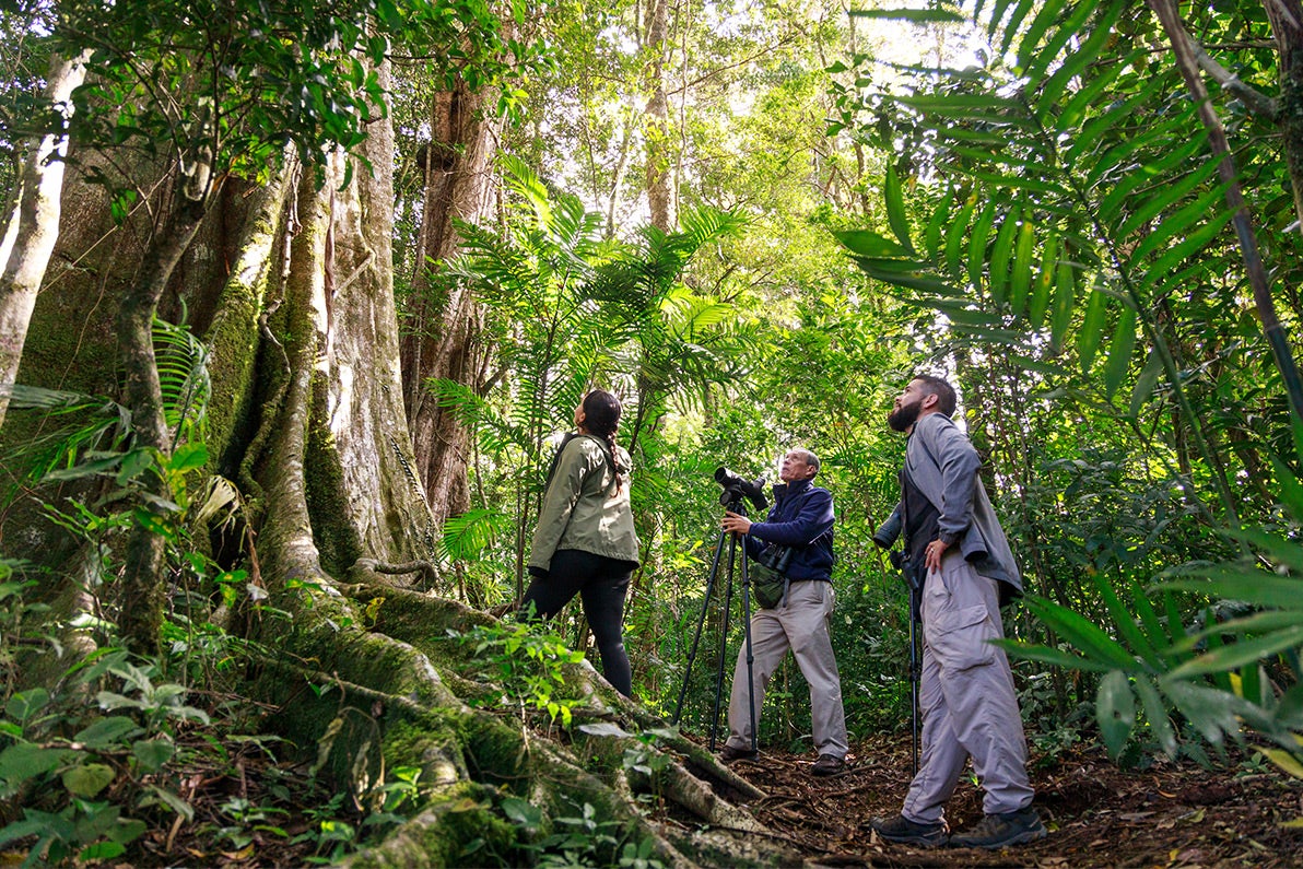 Monteverde Cloud Forest Reserve