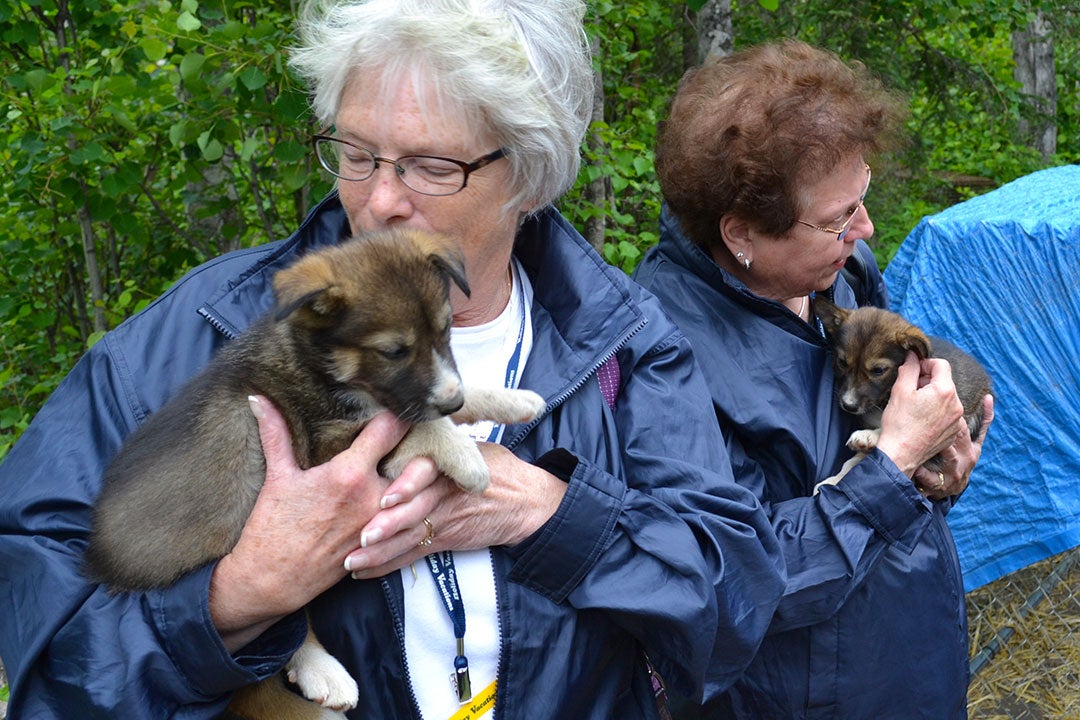 Iditarod Trail Headquarters