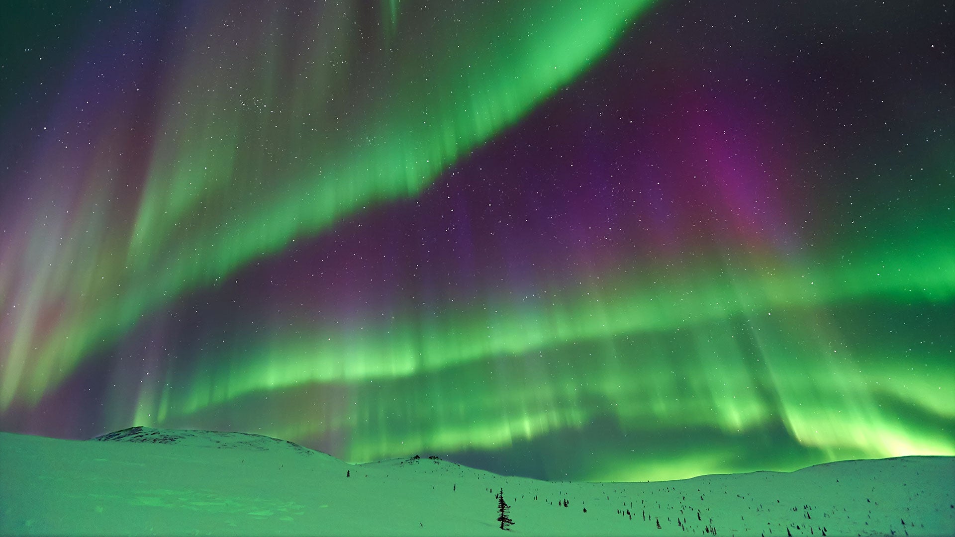 Aurora Tours