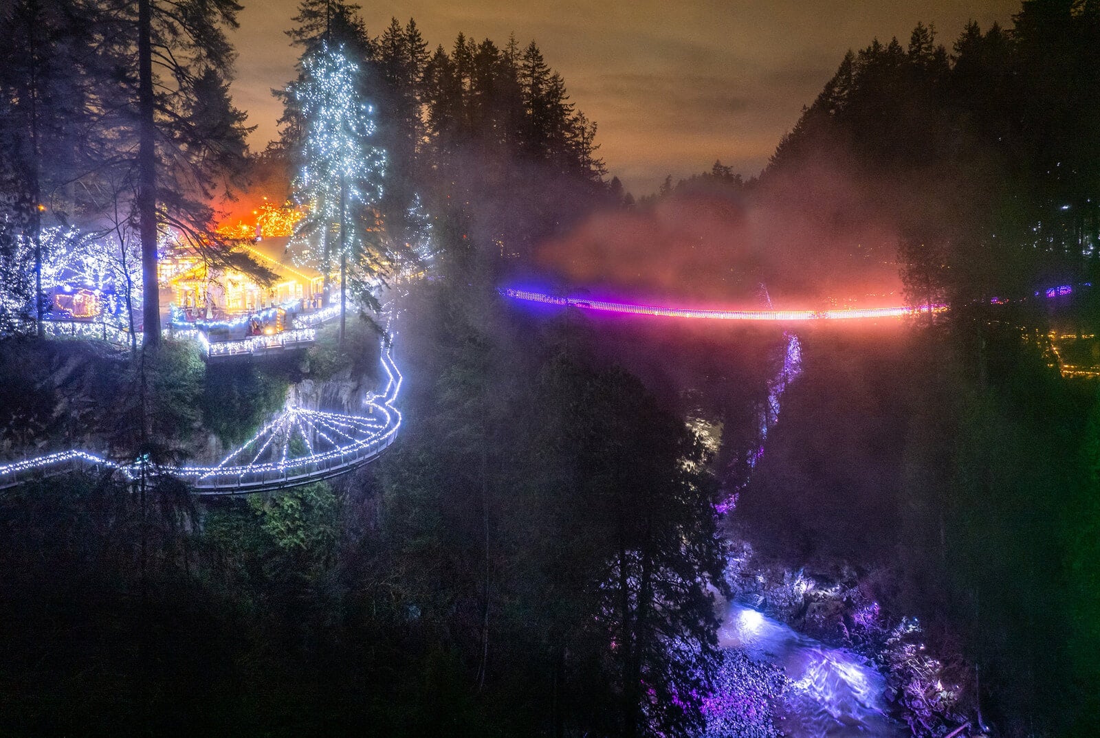 Capilano Suspension Bridge’s Canyon Lights
