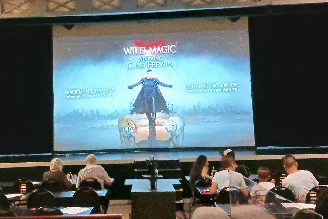 Magic Show & Dinner