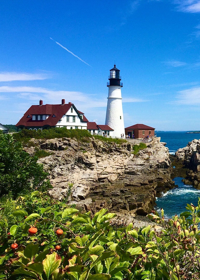 East Coast Tours