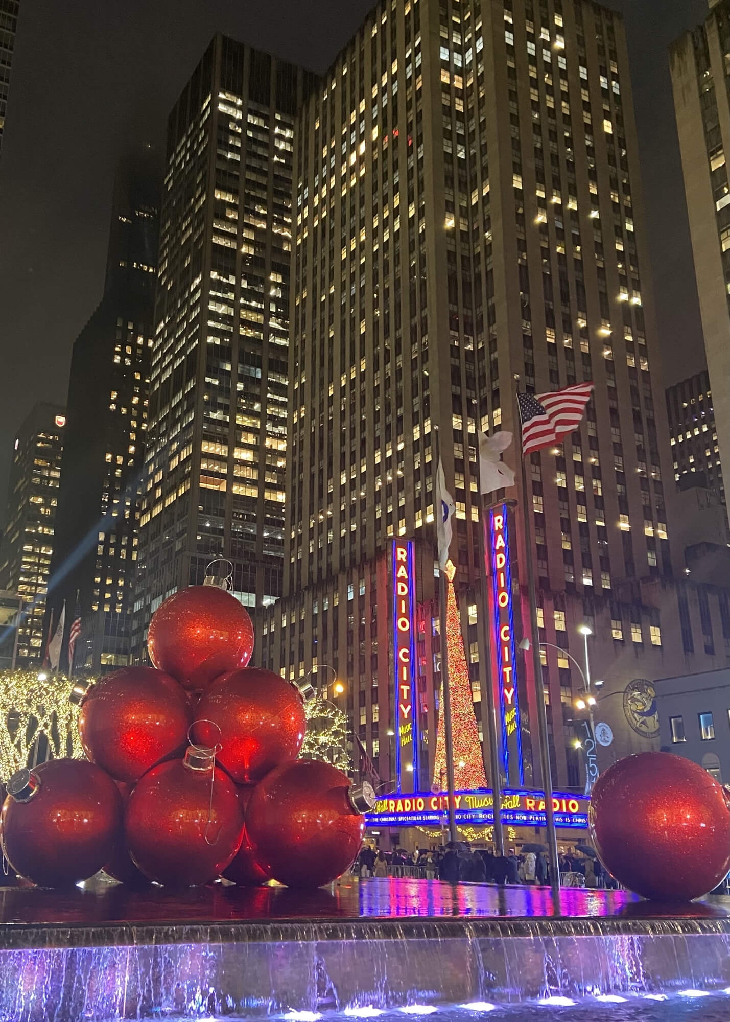Guest photo of Radio City Christmas Display