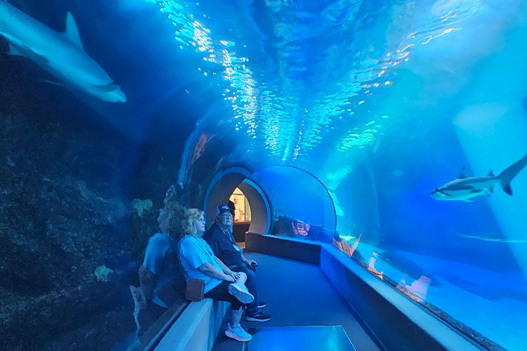 Maui Ocean Center