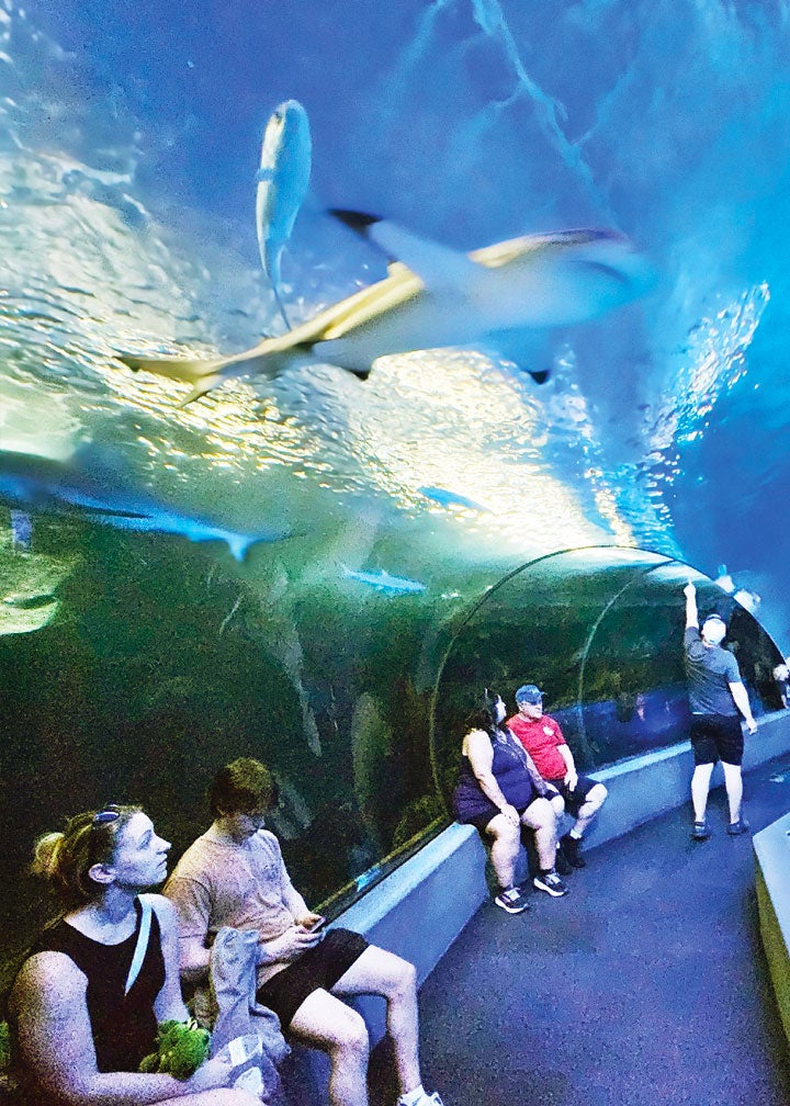 Maui Ocean Center