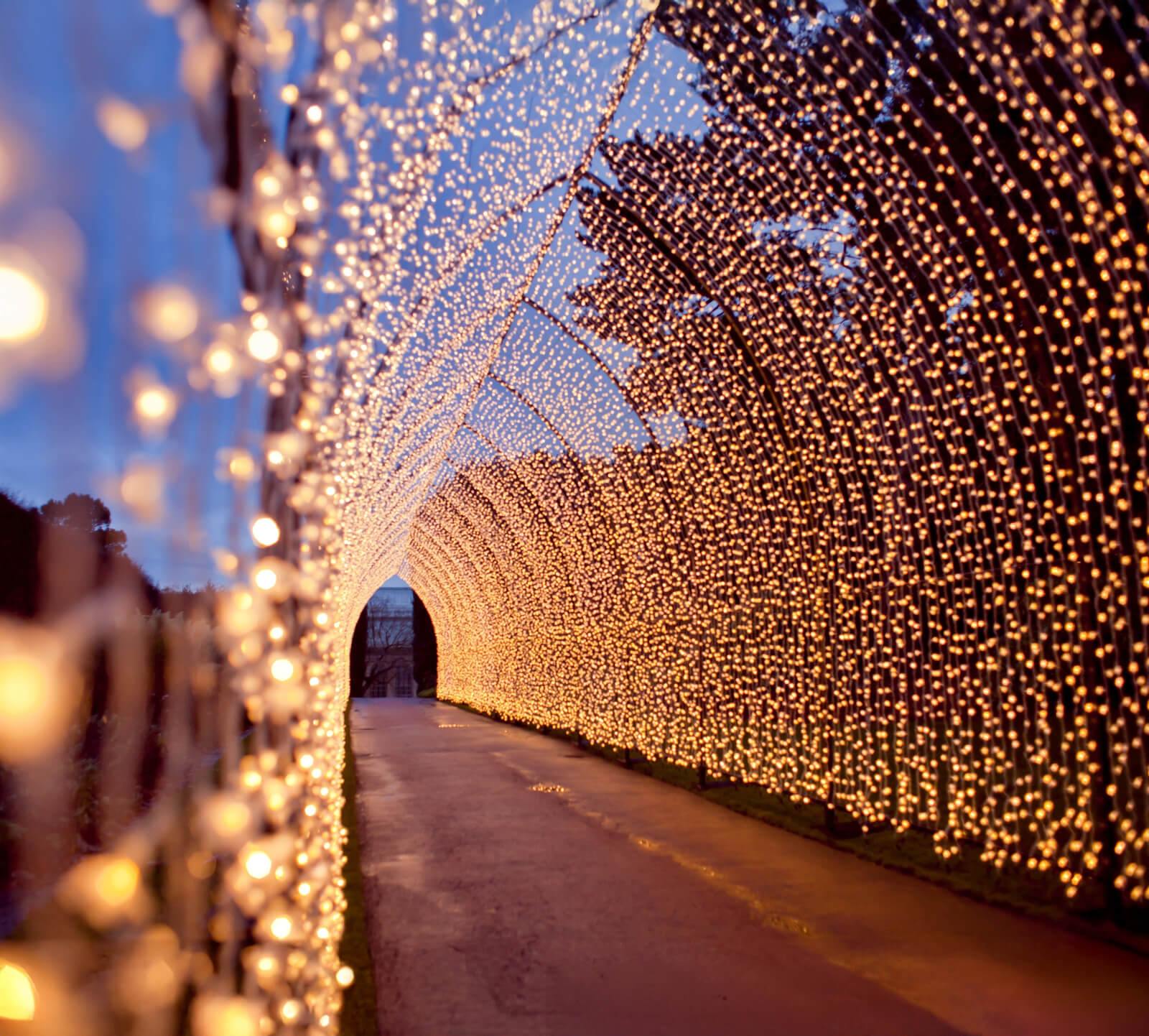 Holiday LIGHTS at Cheekwood Estate & Botanical Garden