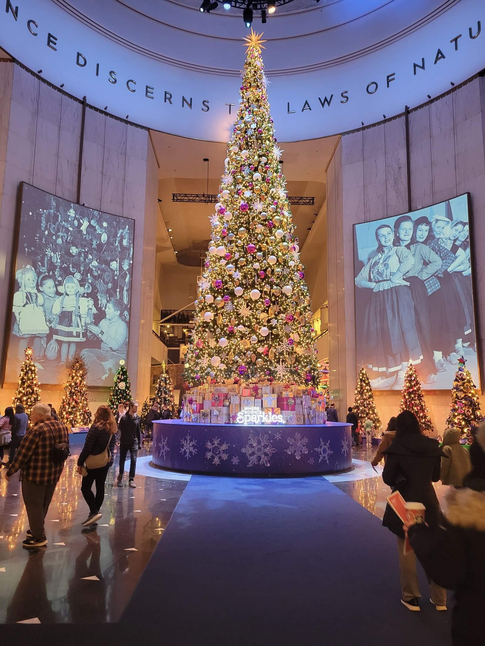Museum of Science & Industry Christmas Display