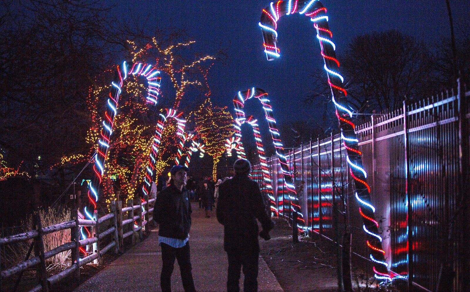 ZooLights at Lincoln Park Zoo