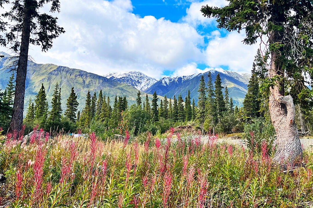 Kluane National Park & Reserve