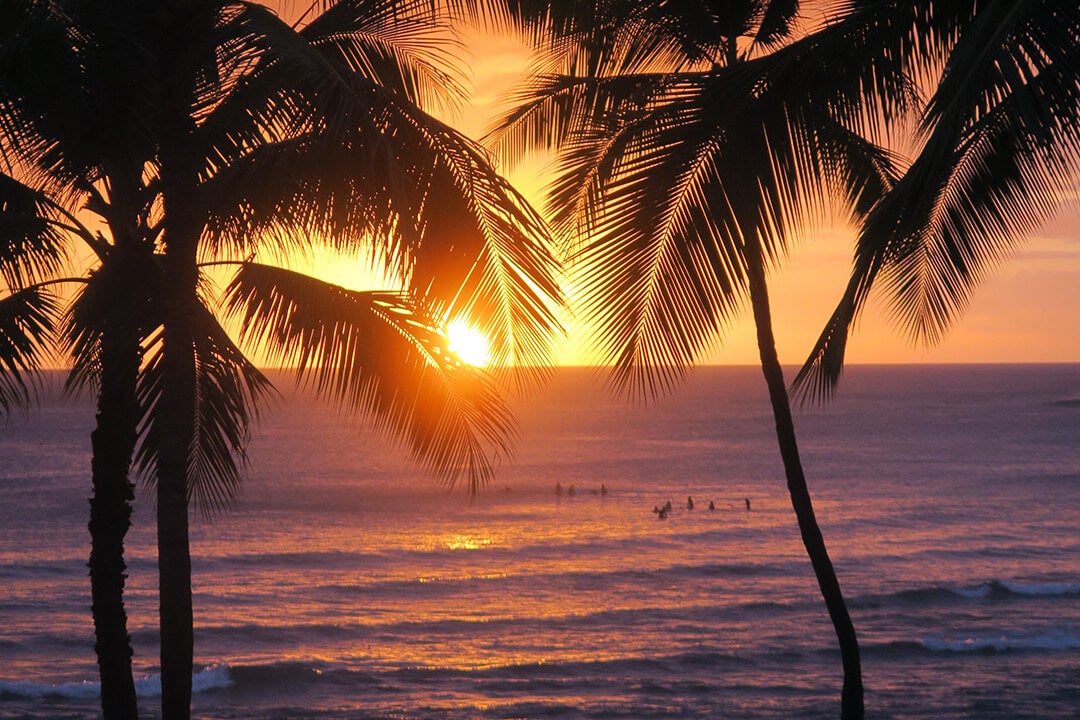 Breathtaking Vistas