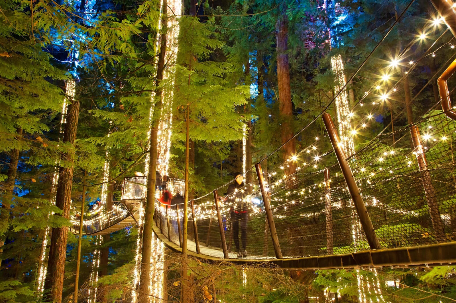 Capilano Suspension Bridge’s Canyon Lights