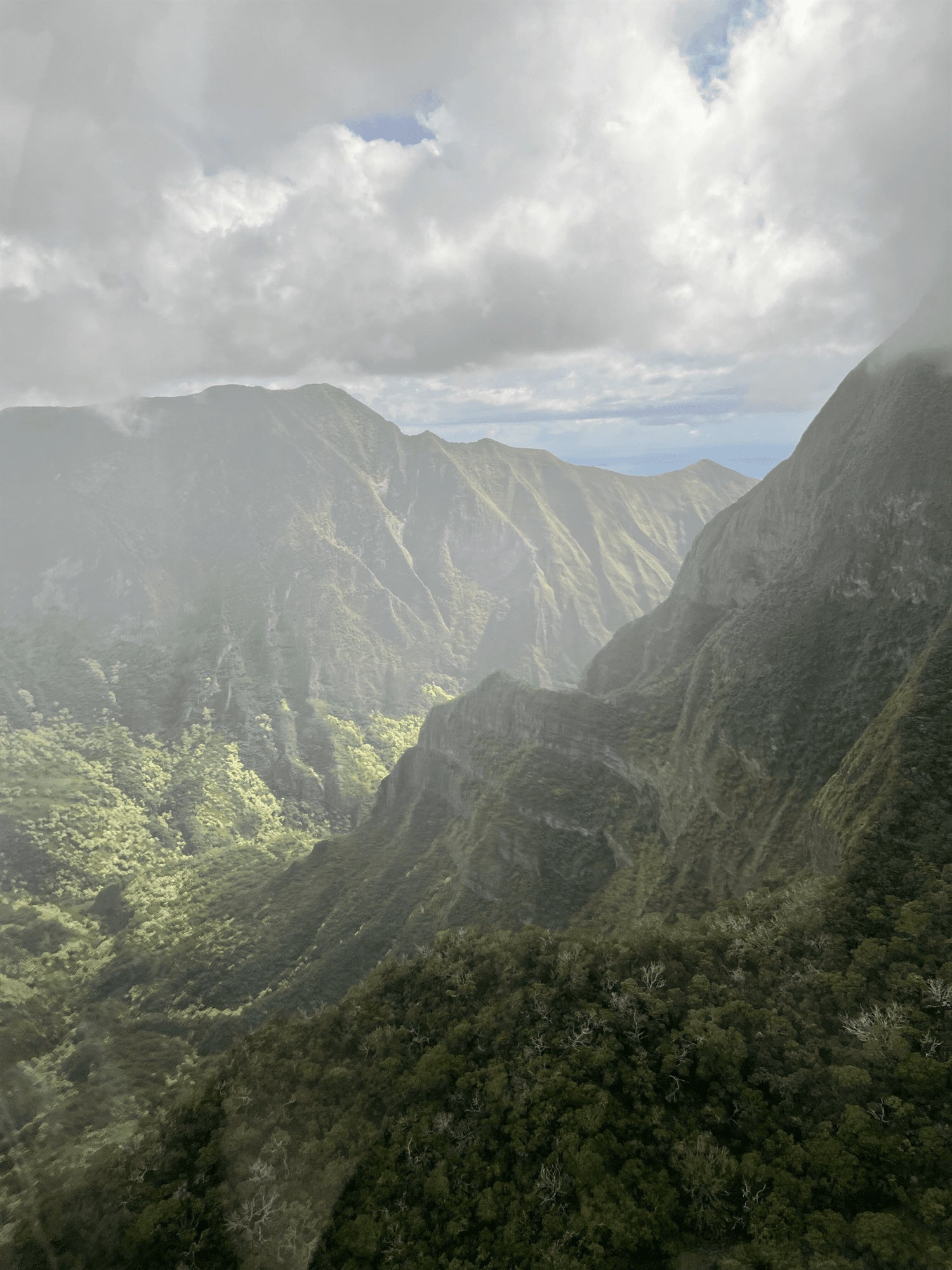 Guest photo of Maui