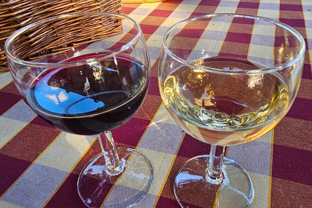 Konavle Wine Tasting
