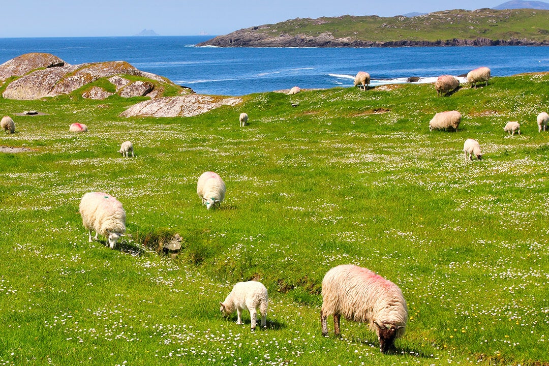 Ring of Kerry
