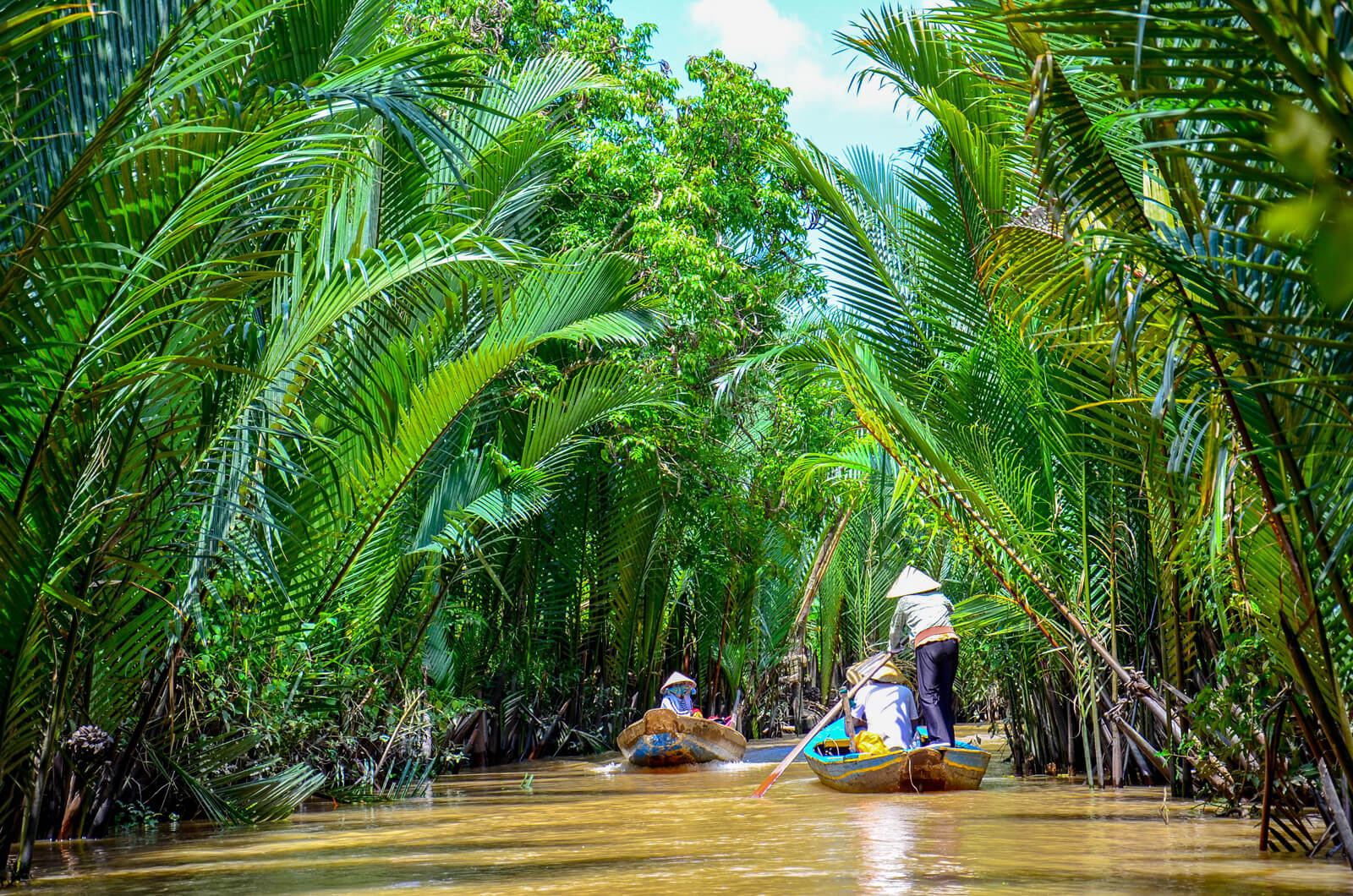 Paddle boats in the Mekong Delta, Vietnam