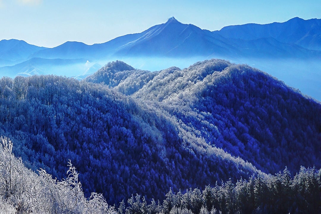 Great Smoky Mountains National Park