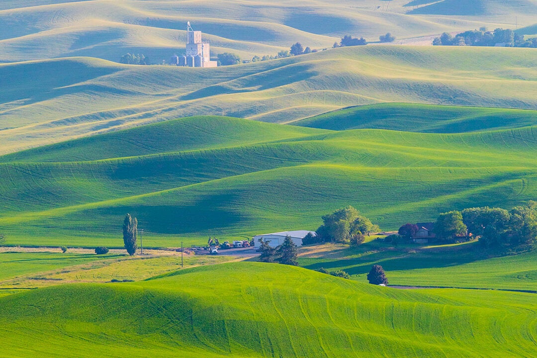 Palouse Region