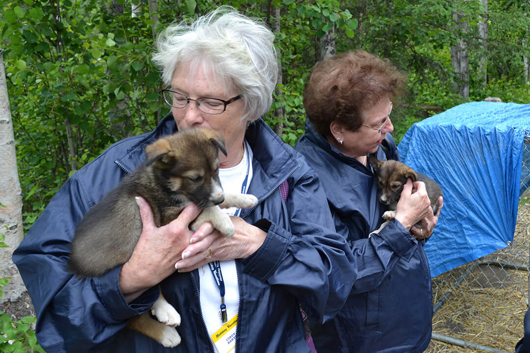 Iditarod Trail Headquarters