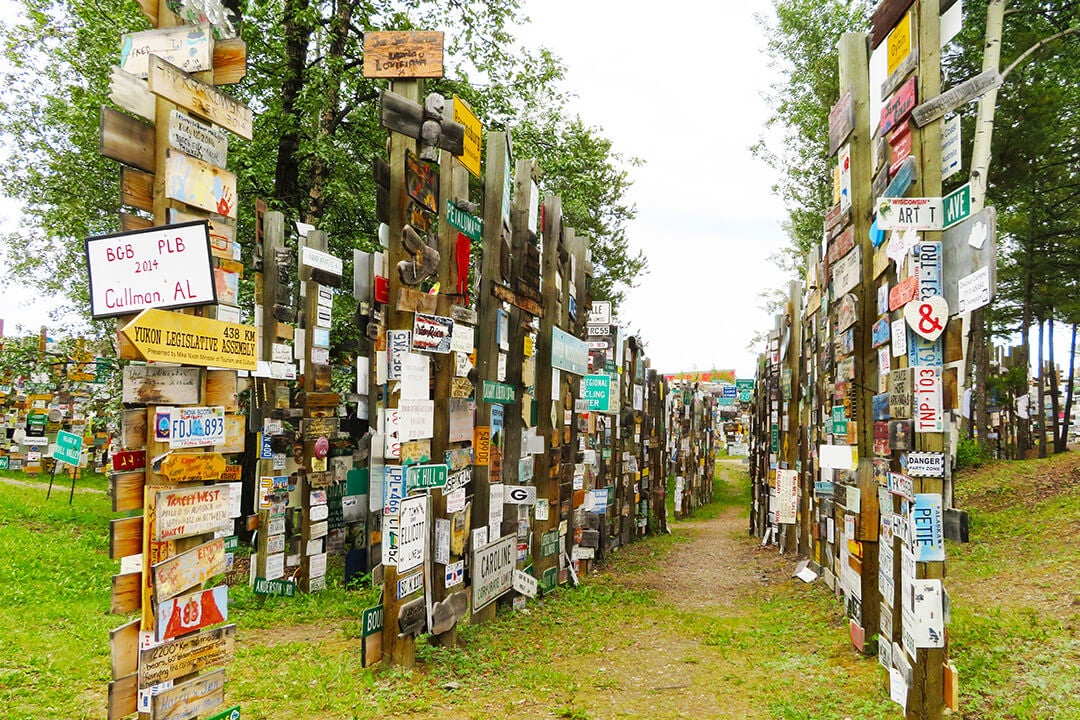Sign Post Forest