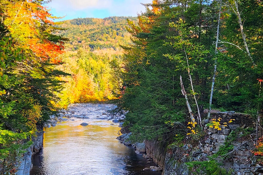 Autumn Landscapes 