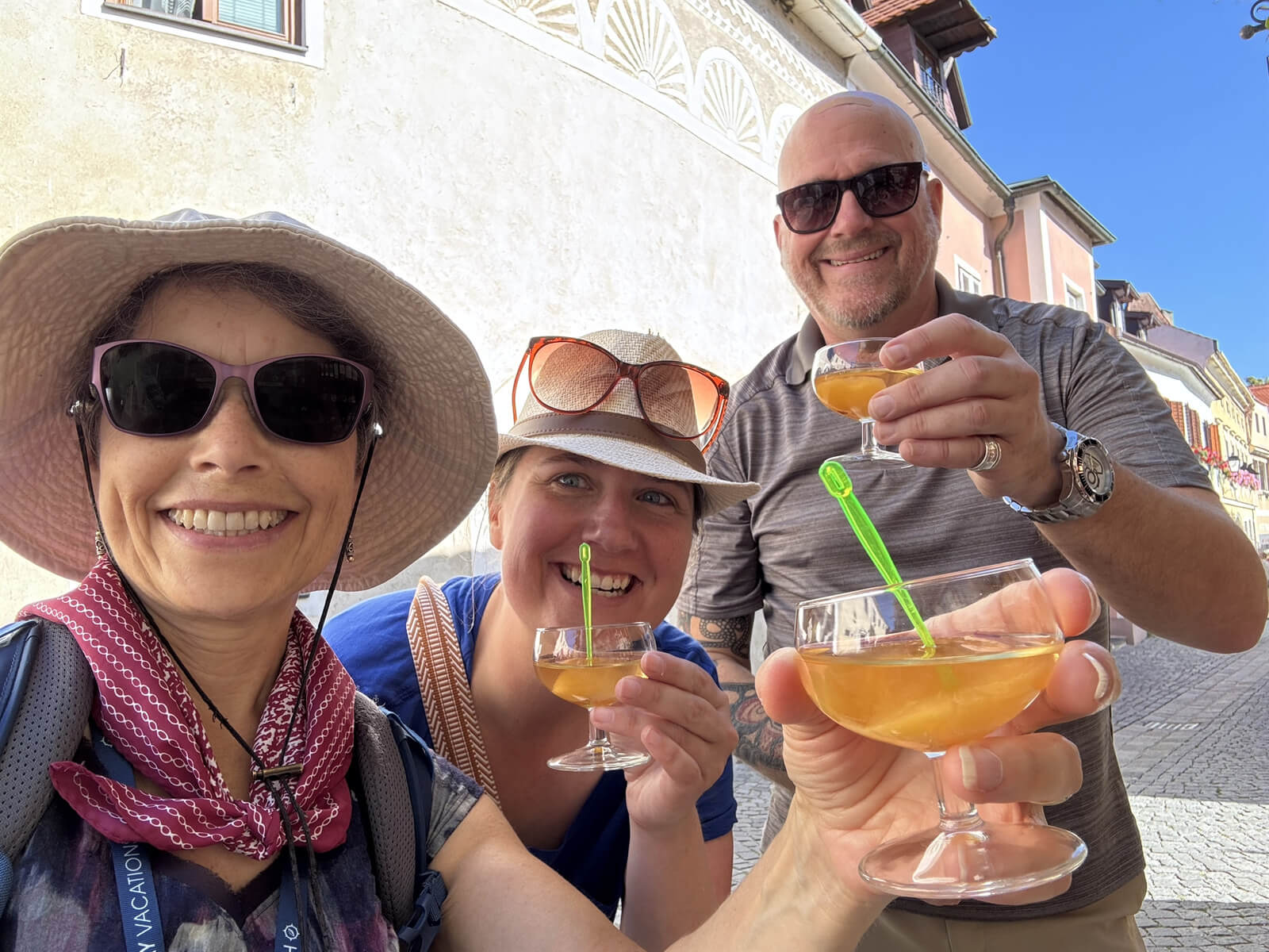 Guests and Tour Director in Austria