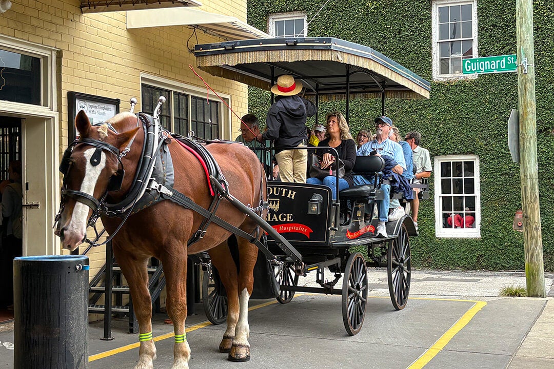 Carriage Tour of Downtown Charleston