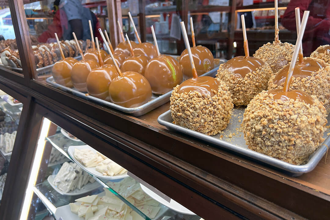 Savannah City Market & Ponce City Market