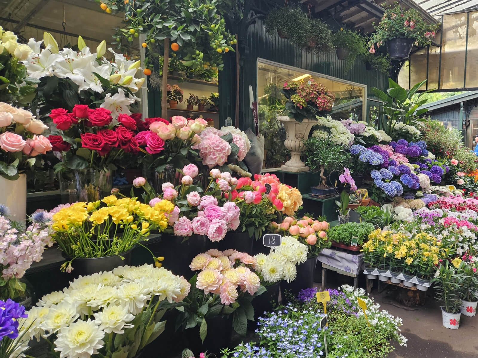 Guest photo of Marché aux Fleurs Reine Elizabeth II, Paris