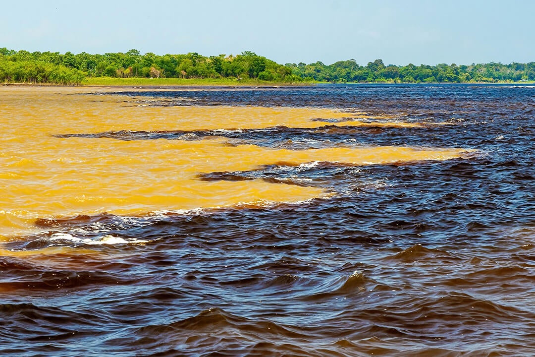 The Meeting of Waters