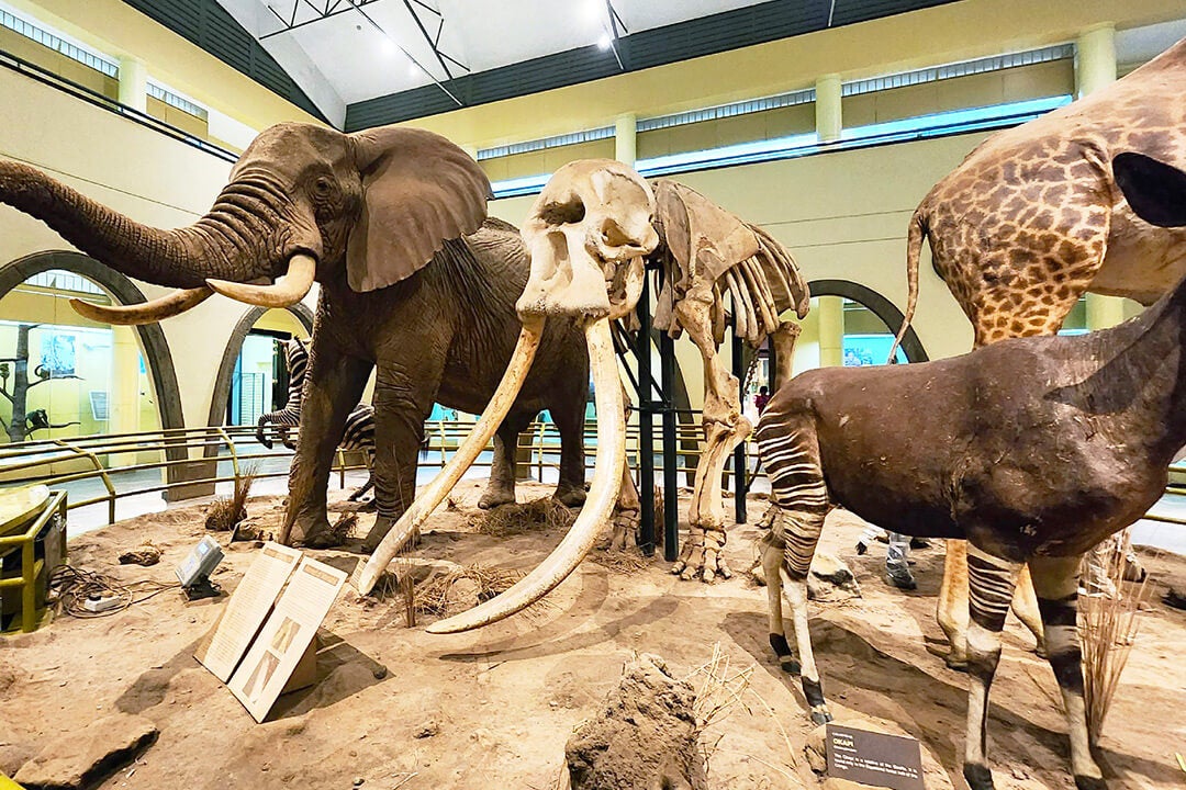 Nairobi National Museum