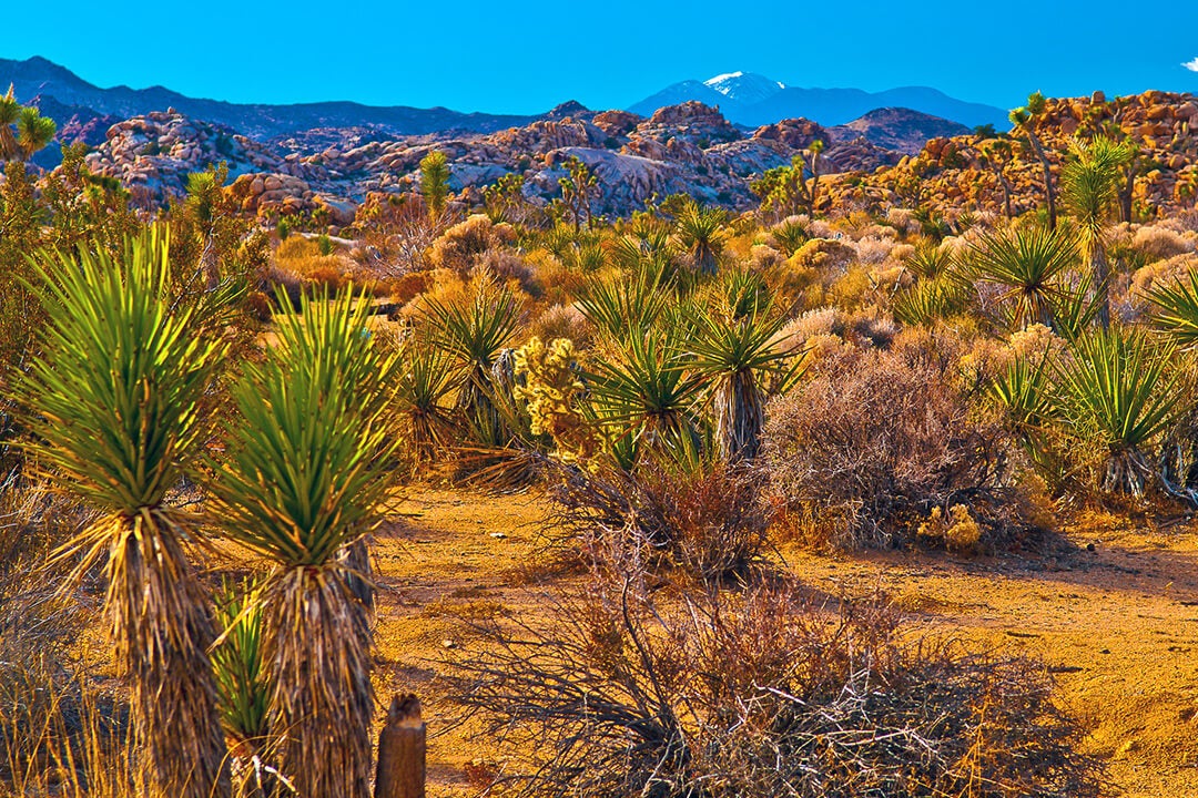 Two National Parks