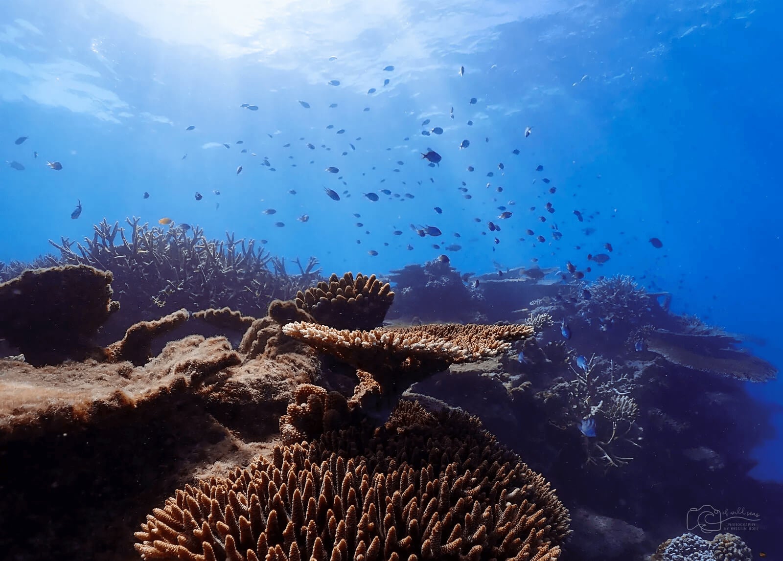 Great Barrier Reef, Australia