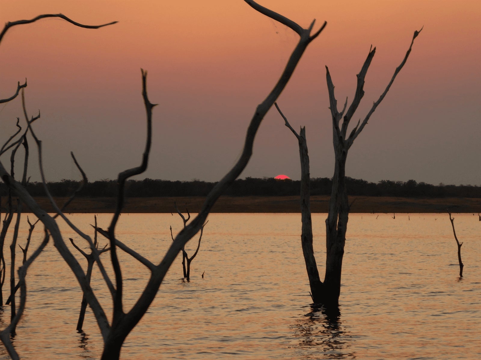 Unplug in Africa’s Untamed Wilderness
